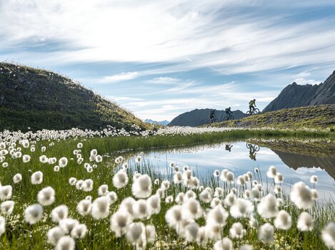 7195_chavra_trail_filip_zuan.jpg