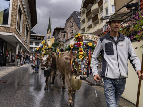 A festive procession with decorated cows and children in traditional attire. The animals wear colorful flower crowns and the background shows a large crowd of spectators.