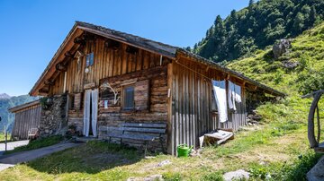 Ein traditionelles Holzhaus in den Bergen, umgeben von grünen Wiesen und Bäumen. Der Himmel ist klar und blau, was eine ruhige Atmosphäre schafft.