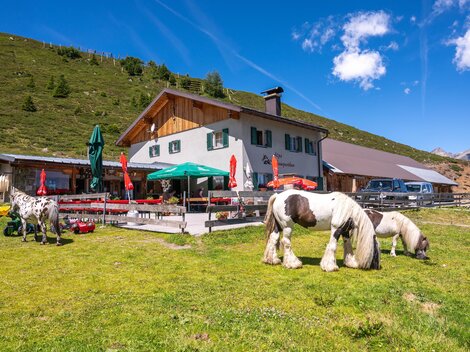 Eine idyllische Almhütte umgeben von grünen Wiesen. Pferde grasen friedlich neben der Hütte unter einem klaren blauen Himmel.