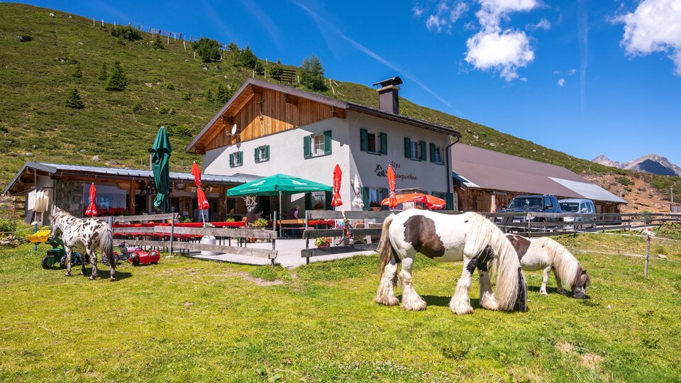 An idyllic mountain cabin surrounded by green meadows. Horses graze peacefully next to the cabin under a clear blue sky.