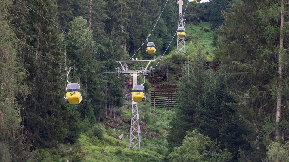 Eine Seilbahn fährt durch einen dichten Wald. Die Pendelbahnen sind gelb und an Stahlseilen aufgehängt.