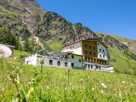 Bodenalpe Sommer