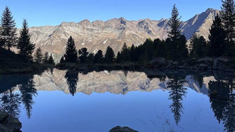 A quiet mountain lake surrounded by fir trees and mountains. The reflections create a picturesque view under a clear blue sky.