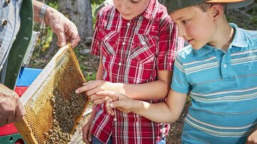 Bienenlehrpfad