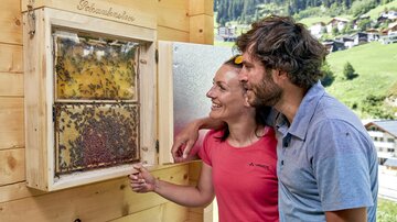 Bienen