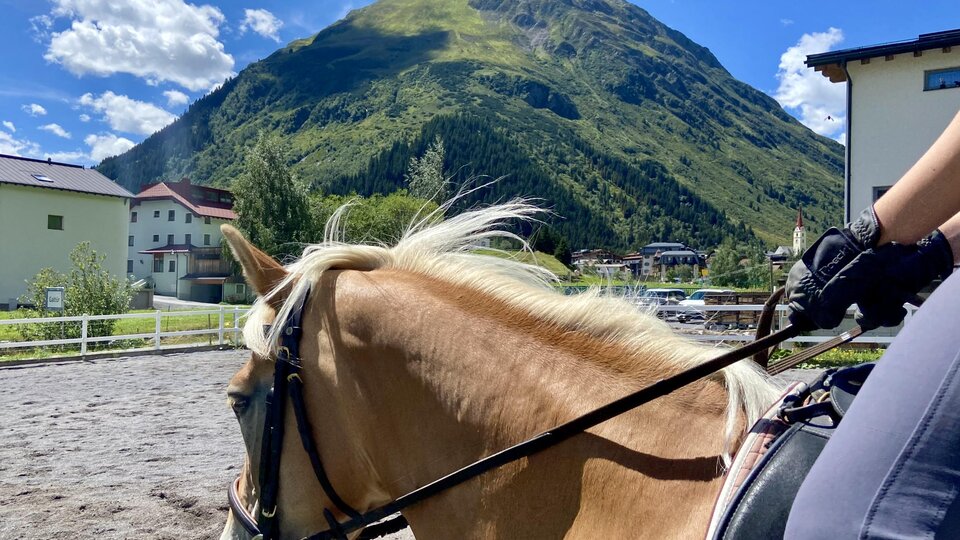 Ein Reiter sitzt auf einem Pferd mit einem schönen Berg im Hintergrund. Der Himmel ist klar und sonnig.