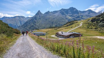 Faulbrunn Alm im Sommer 3