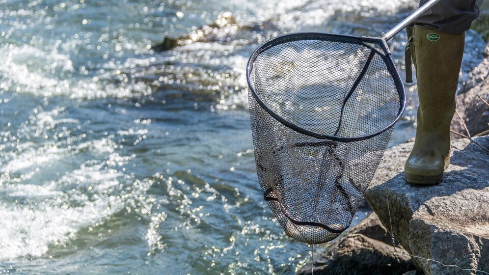 A person stands at the edge of a body of water holding a net in their hand. Reflective waves can be seen in the water.
