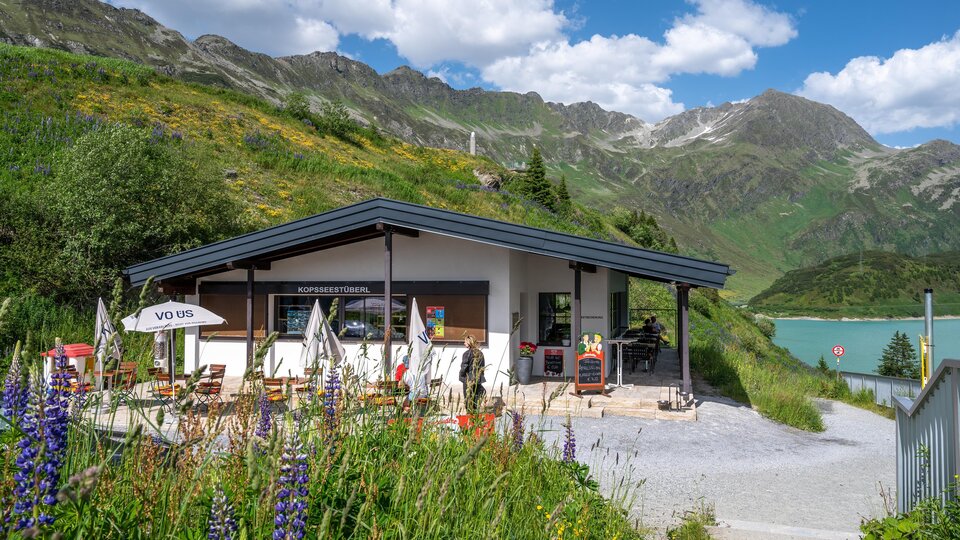 Ein modernes Gebäude am Fuße der Berge, umgeben von grünen Wiesen und bunten Blumen. Im Hintergrund sind majestätische Berge und ein klarer blauer Himmel zu sehen.