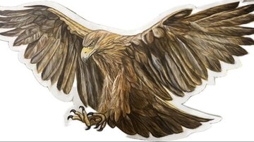 A majestic eagle with outstretched wings. Its feathers are in shades of brown and gold.