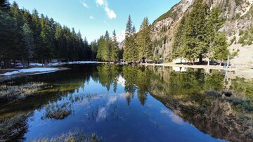 Ein ruhiger See, umgeben von hohen Bäumen und Bergen. Die glatte Wasseroberfläche spiegelt die Landschaft wider.