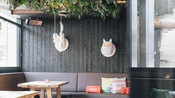 A cozy café with wooden furniture and a green ceiling. The walls are dark, and there are colorful cushions on the benches.