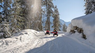 Two people are riding on a sled along a snowy slope. Surrounded by tall, snow-covered trees and a clear sky.