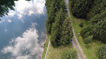 A beautiful park with a tranquil pond and tall trees. The sky reflects in the water, creating a peaceful atmosphere.