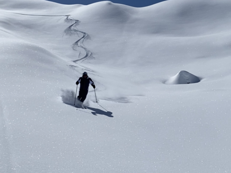 Alpin Guide Silvretta 1