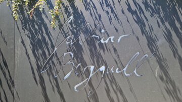 Bergquell