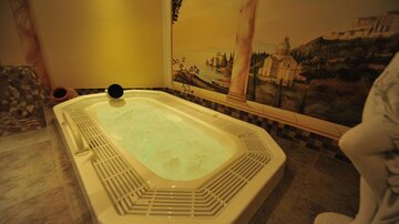 Wellness 3