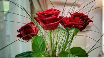 Ein schöner Blumenstrauß mit roten Rosen und grünen Blättern. Die Blumen sind in einem hellen Raum arrangiert.