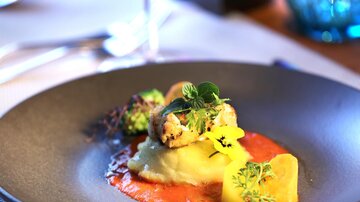 An elegant dish on a black plate. It consists of mashed potatoes, vegetables, and a sauce, decorated with fresh herbs.