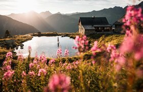 Eine malerische Landschaft mit blühenden, pinken Blumen im Vordergrund. Im Hintergrund ist eine Hütte am Ufer eines ruhigen Sees, umgeben von Bergen bei Sonnenuntergang.