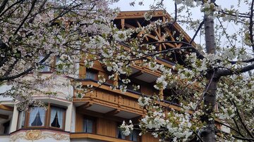Ein charmantes Hotel umgeben von blühenden Bäumen. Die Fassade aus Holz und die gemütliche Atmosphäre laden zum Verweilen ein.