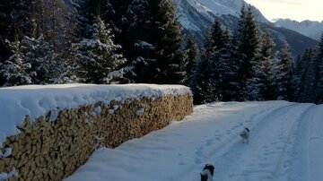 Eine verschneite Landschaft mit einem Weg und einem Holzstapel. Im Hintergrund sind Berge und Nadelbäume zu sehen.