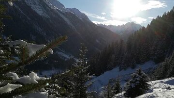 Eine verschneite Berglandschaft mit hohen Tannen und strahlendem Sonnenlicht. Im Hintergrund sind majestätische Berge vor einem blauen Himmel zu sehen.