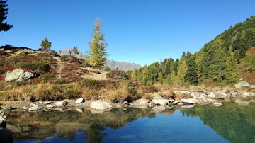 Ein ruhiger See in einer malerischen Berglandschaft, umgeben von Tannenbäumen. Der klare Himmel spiegelt sich im Wasser.