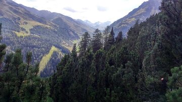 Eine malerische Berglandschaft mit grünen Wäldern und hohen Bergen. Der Himmel ist teilweise bewölkt, und das Tal ist gut sichtbar.