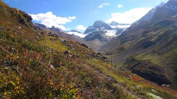 Eine malerische Berglandschaft mit grünen Wiesen und schneebedeckten Gipfeln. Der Himmel ist klar und blau, ideal für einen Ausblick in die Natur.