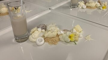 A filled plate with various white desserts and edible flowers. Next to it is a glass with a creamy drink.