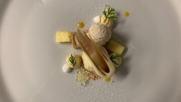An artistically arranged dessert with various textures and colors. It contains pieces of fruit, a scoop, and decorative elements.