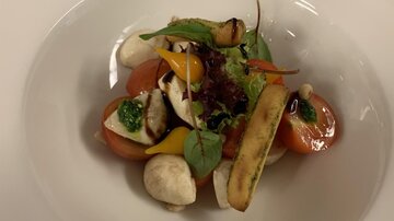 An artfully arranged dish with fresh tomatoes, mozzarella, and colorful vegetables. The dish is refined with a green sauce and herbs.