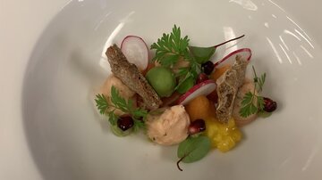 An artfully arranged plate with various colorful ingredients. It contains pomegranate seeds, radishes, and herbs on a base of fruit puree.
