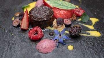 An artistically arranged dessert on a black plate, consisting of a chocolate cake, various berries, and colorful sauces. The garnish includes edible leaves and edible flowers.