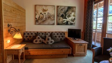 Ein gemütliches Wohnzimmer mit einem Sofa und einem Fernseher. An den Wänden hängen Kunstwerke und große Fenster lassen viel Licht herein.